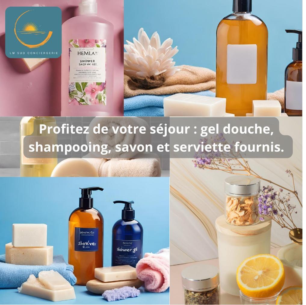 * F3 Haussmannien, Centre-Ville, 4 Pers, Wifi * Montpellier Bagian luar foto