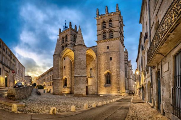 * F3 Haussmannien, Centre-Ville, 4 Pers, Wifi * Montpellier Bagian luar foto