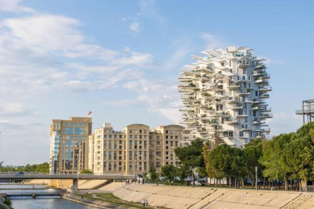* F3 Haussmannien, Centre-Ville, 4 Pers, Wifi * Montpellier Bagian luar foto
