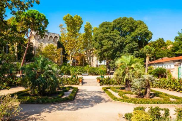 * F3 Haussmannien, Centre-Ville, 4 Pers, Wifi * Montpellier Bagian luar foto