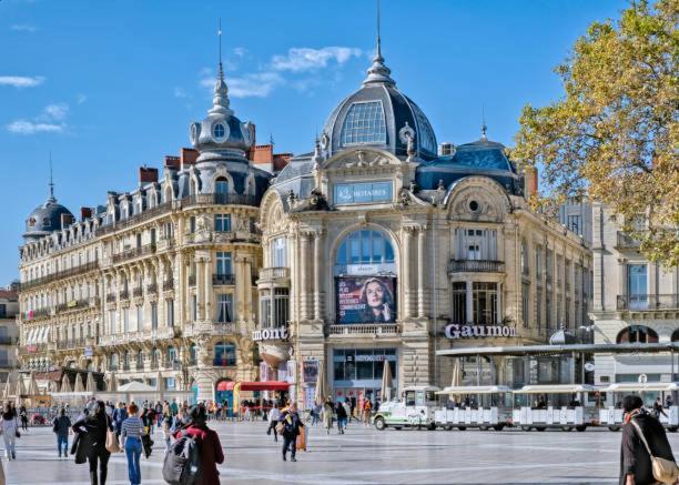 * F3 Haussmannien, Centre-Ville, 4 Pers, Wifi * Montpellier Bagian luar foto